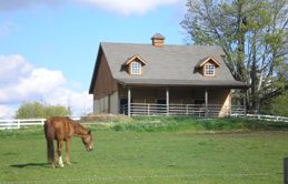 Barn Pros Barn on Dutch Hill